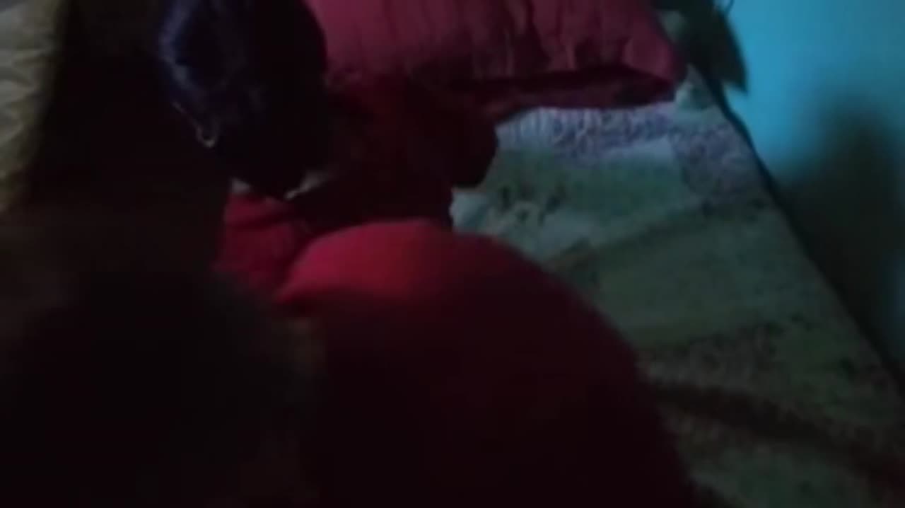 Genç adam köyde yengesini sikip içine boşalıyor - Ensest Türk Porno